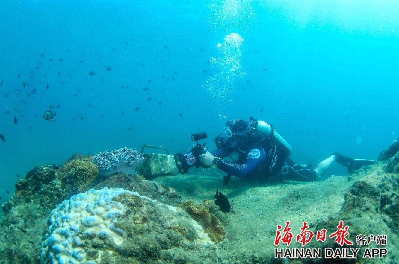 寂静岭5：归乡