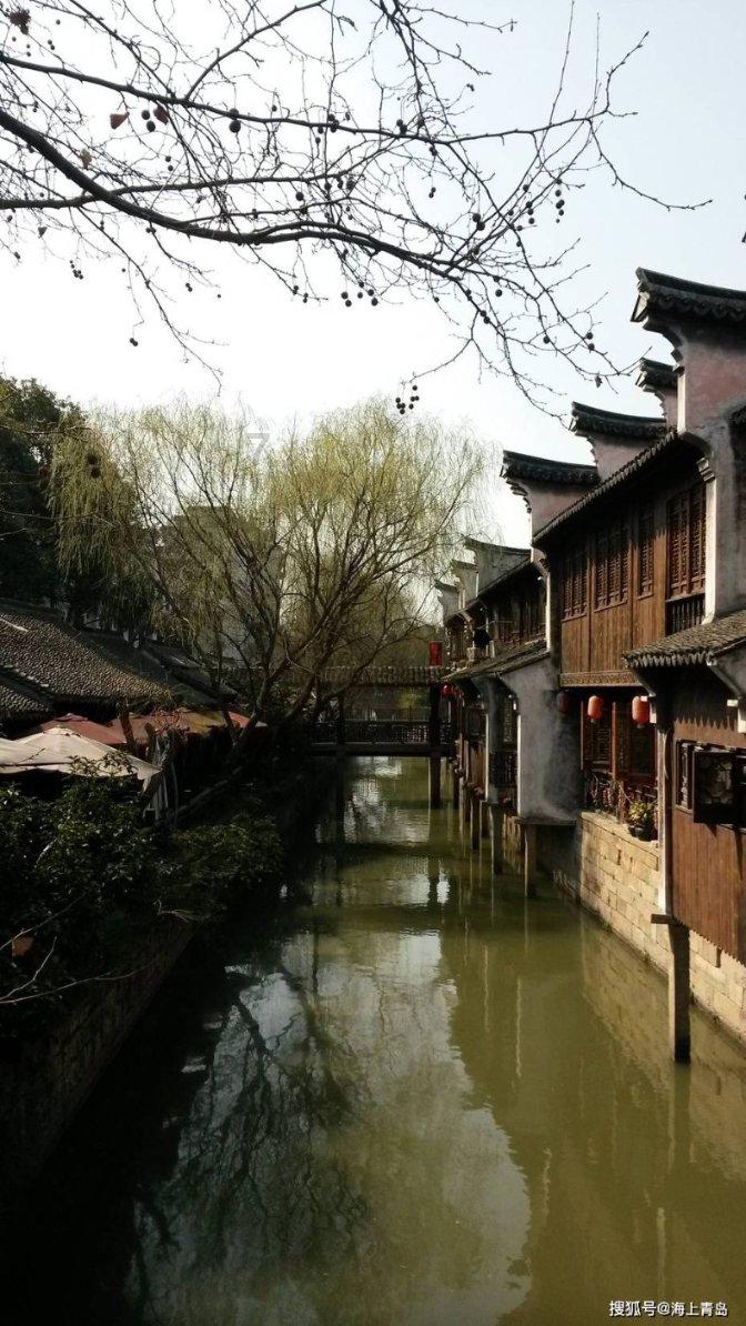 幸福树浇多了营养液黄叶了怎么办？游戏画面